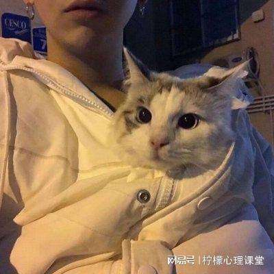 萌化三国手游下载