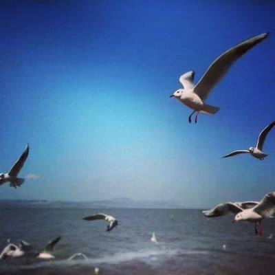 恶龙之魂公测版下载